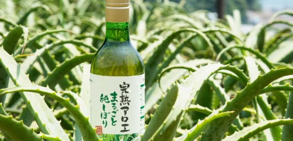 完熟アロエまるごと純しぼり 口コミ