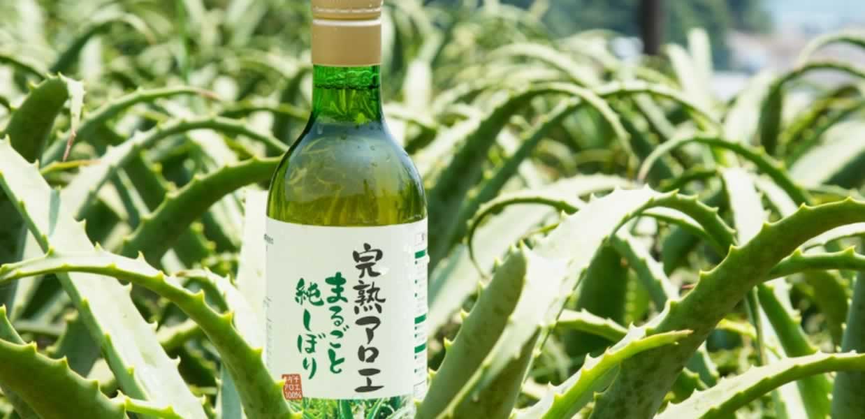 完熟アロエまるごと純しぼり 口コミ 評判