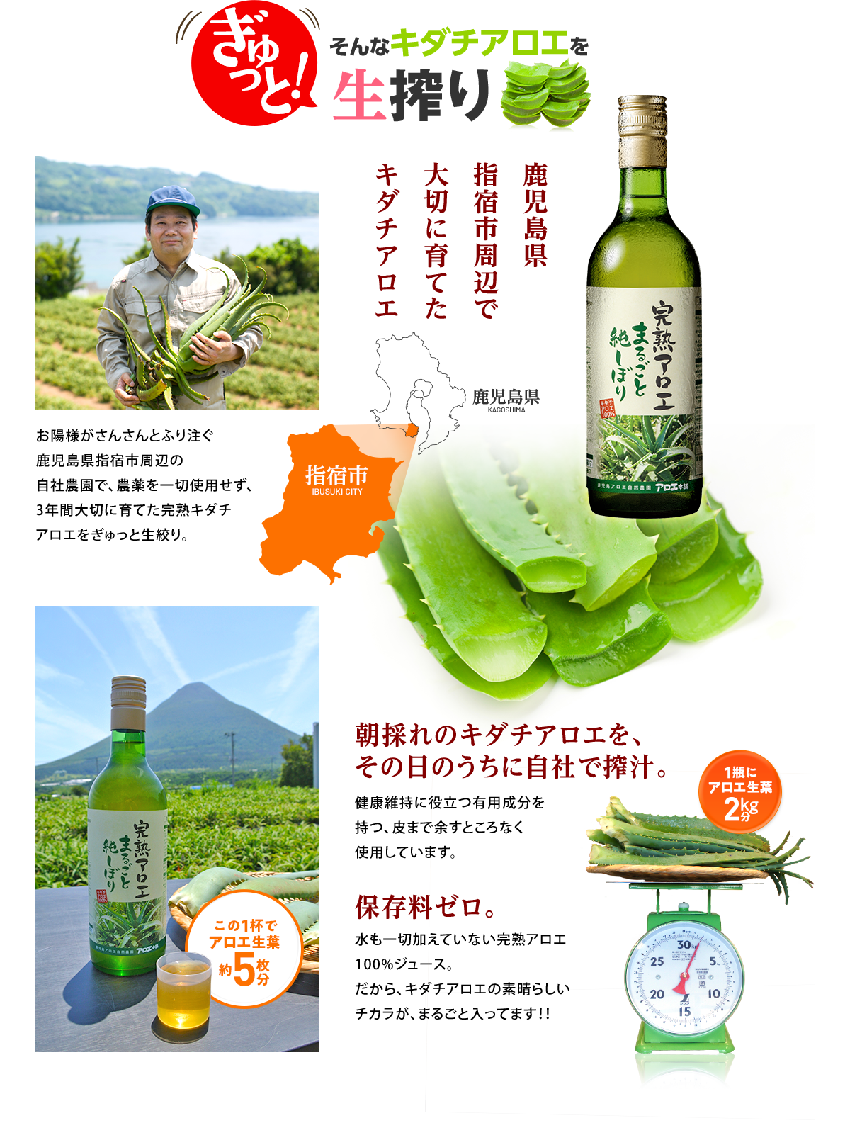 完熟アロエまるごと純しぼり 栄養成分